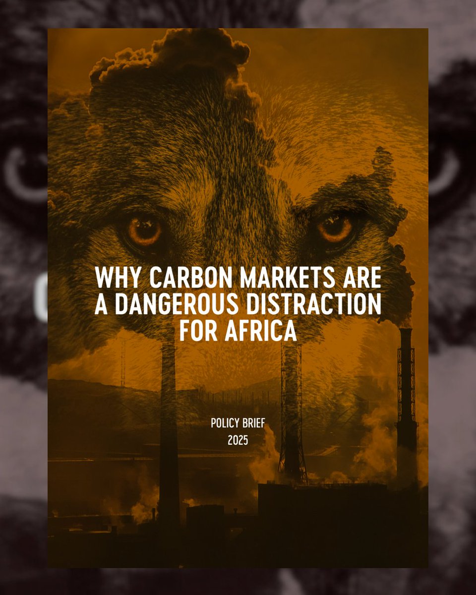 📢JUST LAUNCHED: PSA’s New Policy Brief on Carbon Markets!

Carbon markets won’t save Africa.
From neocolonial land grabs to delayed transitions, these schemes threaten Africa’s sovereignty and future.

Read our new policy brief exposing the dangers and outlining available