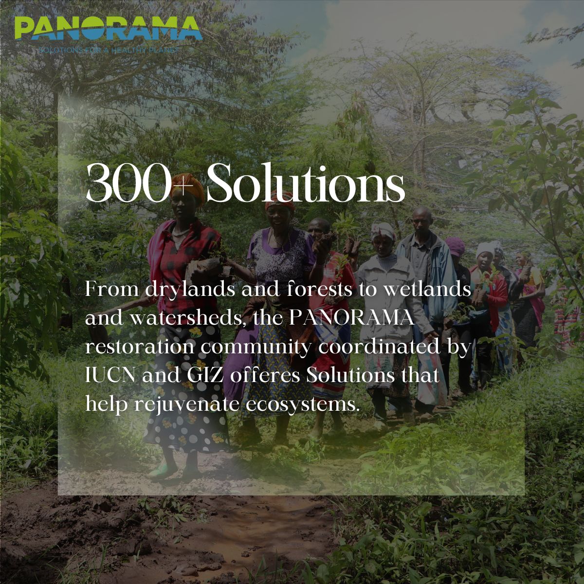 Panorama_Planet's tweet photo. This #WorldDaytoCombatDesertificationandDrought, discover 300+ practical, scalable Solutions that restore ecosystems, conserve biodiversity & build climate resilience. A win for both people & nature. #PANORAMASolutions Explore all Solutions- https://t.co/e2A569JGbv https://t.co/CAwPCVADhl