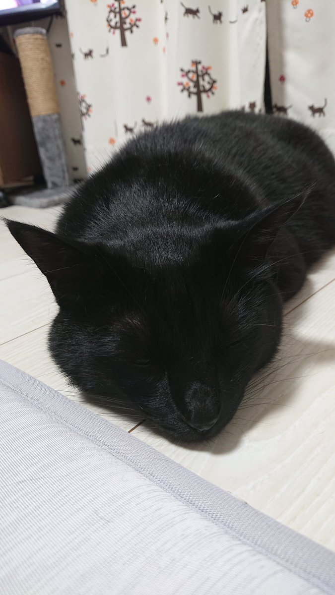 konbu0330's tweet image. 暑いよね～～