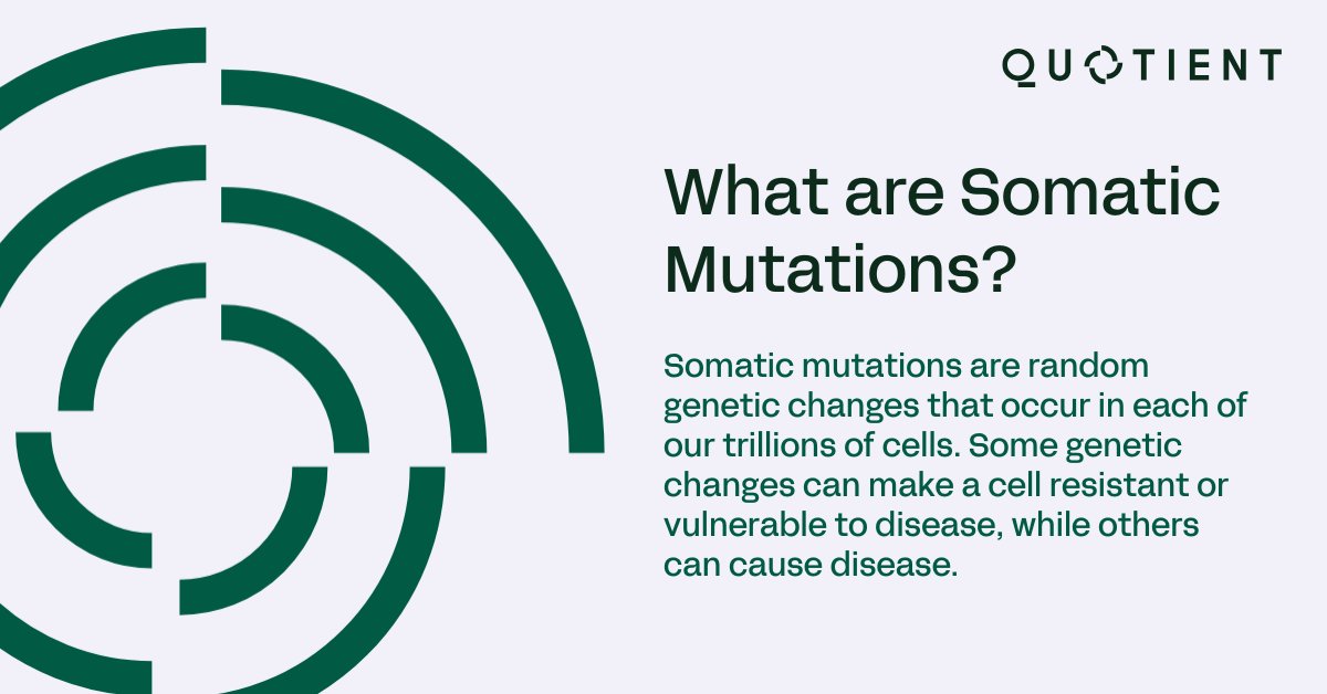 QuotientTx's tweet image. #SomaticMutations are genetic changes in our cells that can cause disease or protect cells from it. Our platform uncovers these changes, enabling the development of novel therapies to imitate or inhibit the mutation’s impact. Learn more: bit.ly/3HUju7J
