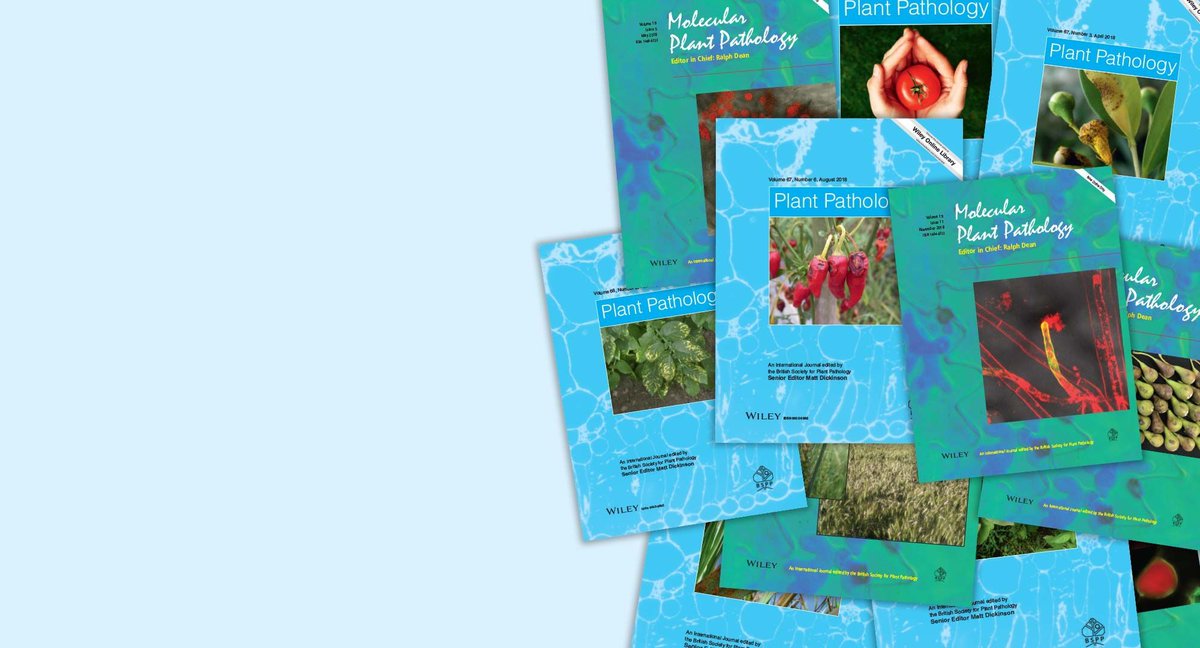 BS_PP's tweet image. We're hiring!
Join the Plant Pathology journal as a freelance Technical Reader.
Part-time, flexible hours
buff.ly/xQFpkLF
Apply by 22nd June to plantpath@bspp.org.uk
#EditingJobs #PlantPathology #AcademicPublishing #Freelance