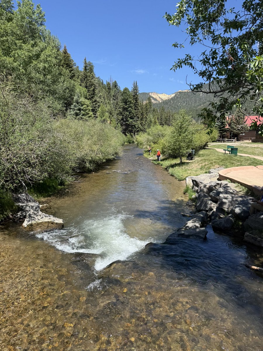 Nikki Dunn, CFP® tweet media