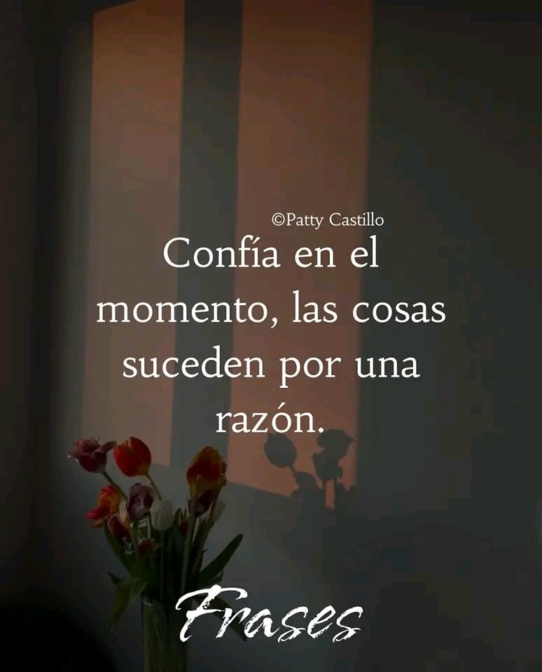 Jose David tweet media