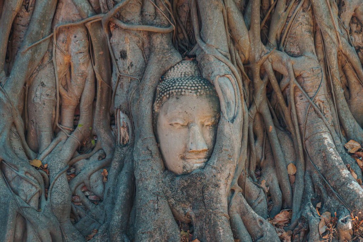 New Post: Discover Thailand's Rich History: 11 Most Stunning Historical Sites to Visit bucketlistly.blog/posts/best-anc…