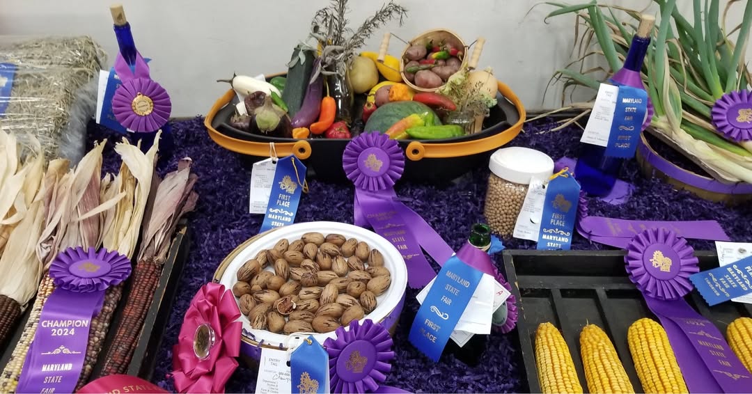 Maryland State Fair (@mdstatefair) on Twitter photo National Eat Your Vegetables Day is a great day to remind you to enter your vegetables and more in the 2025 Maryland State Fair. To enter, visit: marylandstatefair.com/open-class-far…. Or, come out to the Fair to see the labors of love from Maryland's farmers and gardeners.  You  may even be National Eat Your Vegetables Day is a great day to remind you to enter your vegetables and more in the 2025 Maryland State Fair. To enter, visit: marylandstatefair.com/open-class-far…. Or, come out to the Fair to see the labors of love from Maryland's farmers and gardeners.  You  may even be