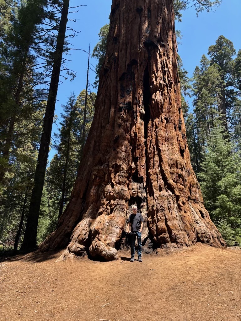 We went to the Sequoia National Park. Amazingly big trees, and very peaceful time.
