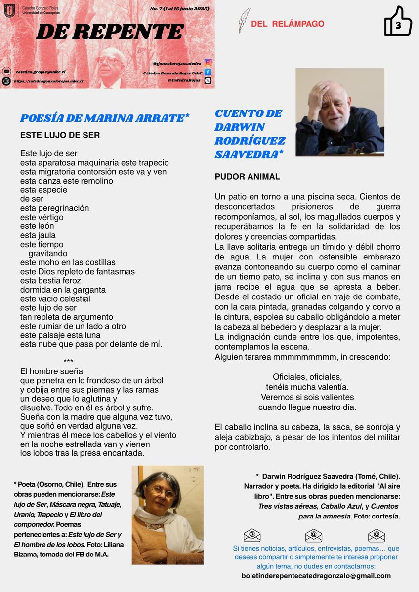 Acá les compartimos nuestro séptimo boletín. ¡Gracias por acompañarnos!