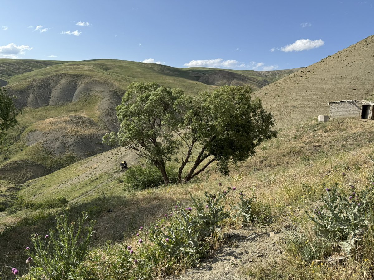 Kırköy Beldemizin yaylaları 25.000 dekarlık alanıyla hayvancılığa çok elverişli bir arazi yapısına sahiptir.
Hükümetimizin hayvancılığa verdiği destekler hayvan sahiplerini sevindirmektedir.