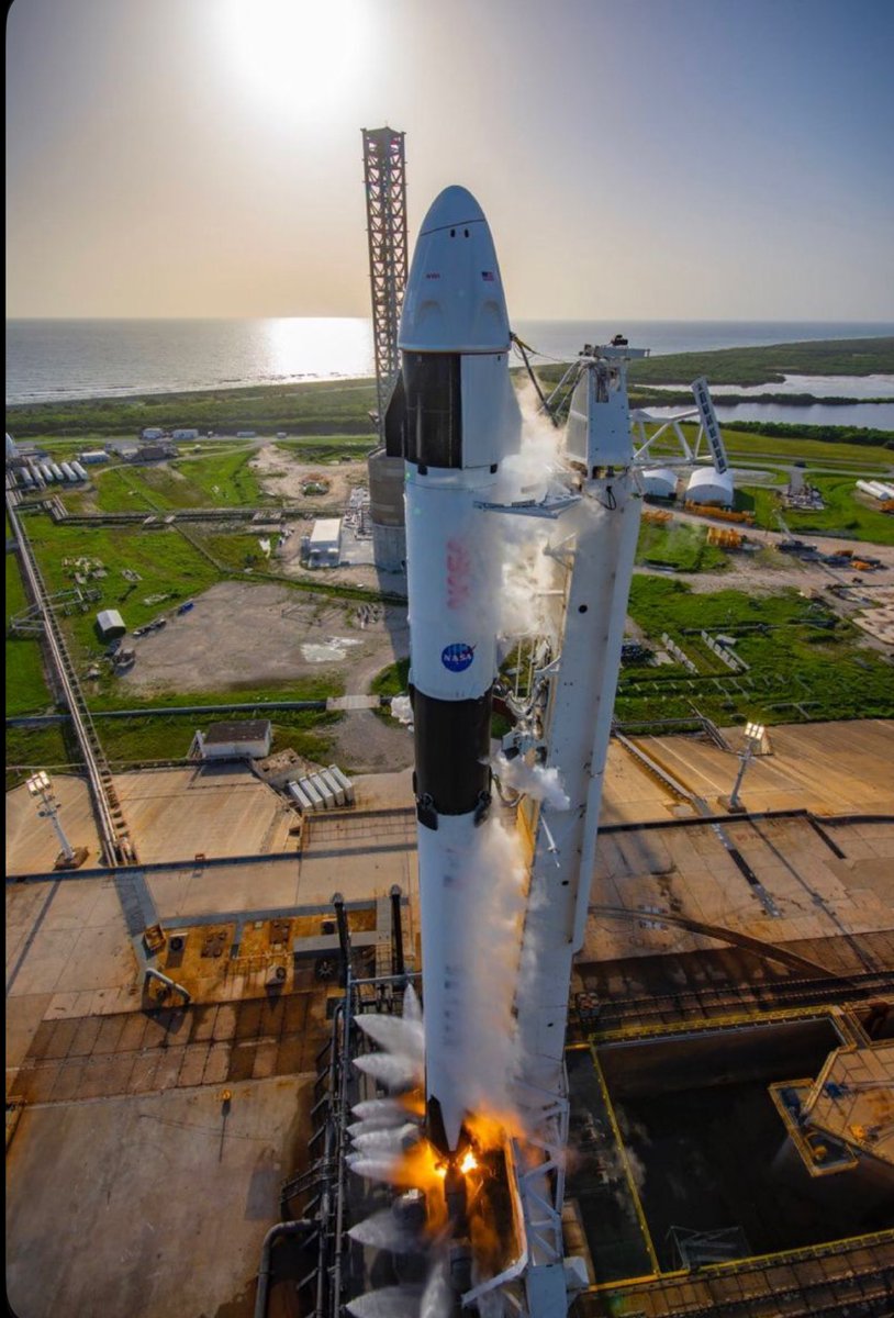 Elon_Musk-X (@elon_musk_46810) on Twitter photo 