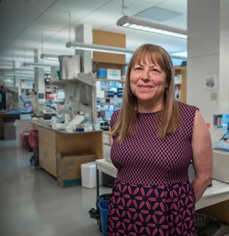 MIT_Picower's tweet image. 🧠Decades of research on the genetic and molecular basis of neural plasticity has enabled Picower Institute Investigator Elly Nedivi to devise potential biomarkers for bipolar disorder. Read more: ilp.mit.edu/read/Nedivi #Neuroscience #bipolar @ScienceMIT