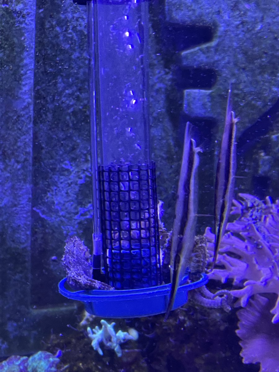 もやいにロマン求め過ぎてる気がする