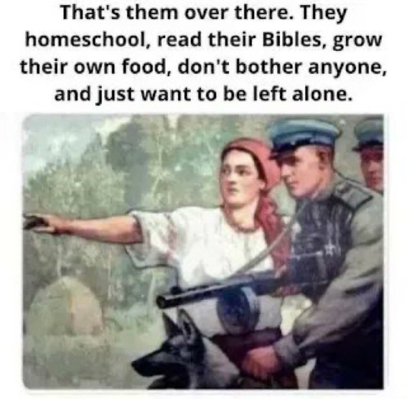 Retro Rebel tweet media