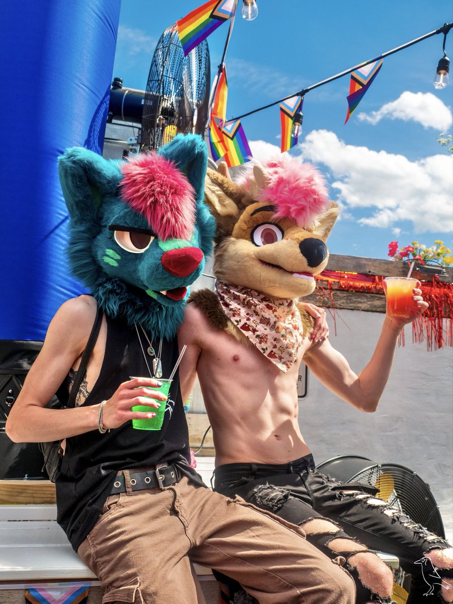 dcfurmeet's tweet image. Did you know that Washington, DC has its very own fur meet?
And the next one is THIS Saturday!
Check out our link in bio for more info!