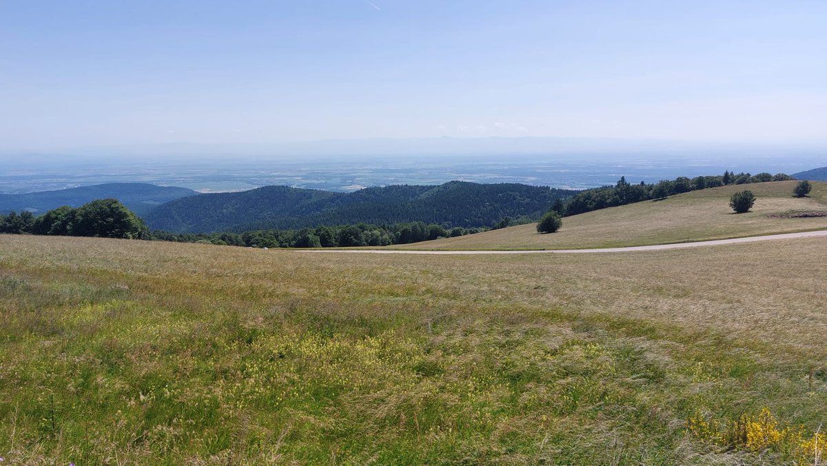 Het fietsgedeelte van dag 2 zit erop, deze voerde ons langs de mythische Grand Ballon, wat met stipt de hoogste top van de Vogezen is. De conditie van de groep is in orde, getuige de vele pr'tjes die behaald zijn. Nu herstellen en vanavond staat er een quiz op de planning.
