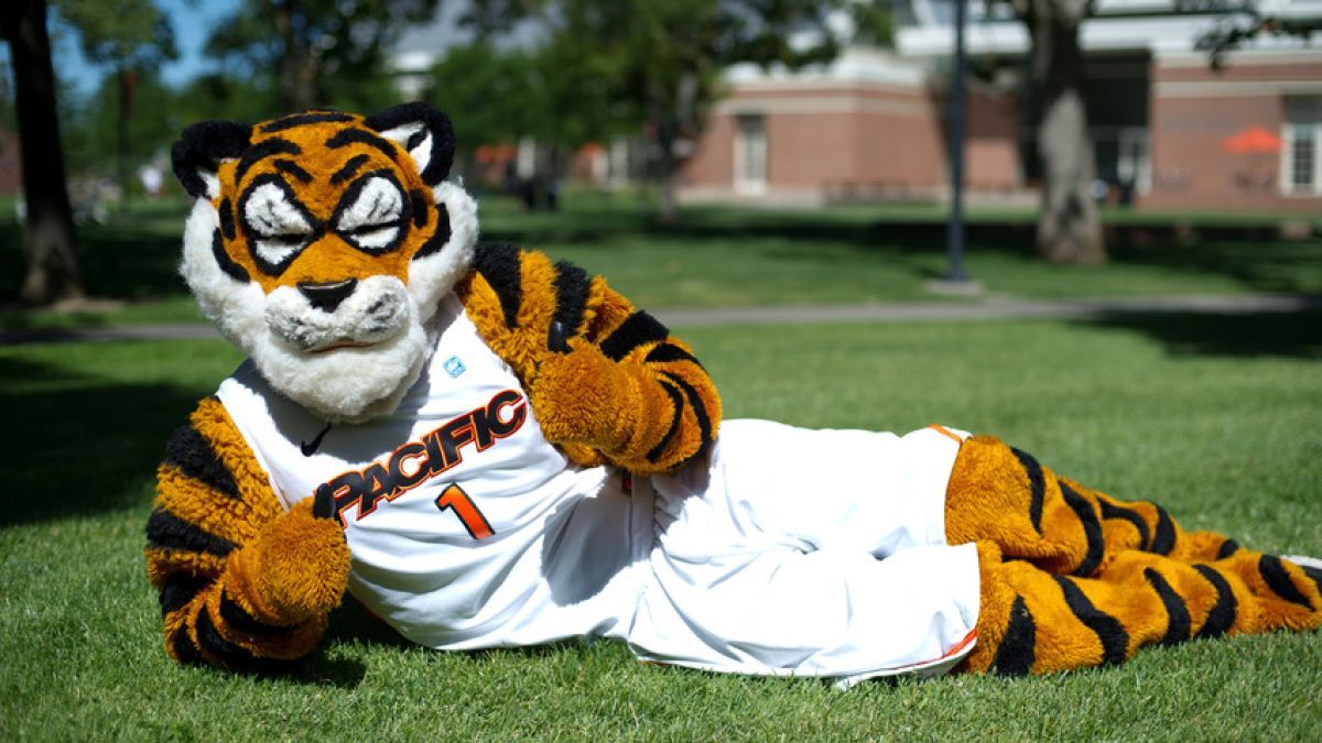 Pacific President Christopher Callahan (@pacificpres) on Twitter photo On this #NationalMascotDay, <a href="/UOPacific/">University of the Pacific</a> celebrates our favorite cat: Powercat! #collegemascots #PacificProud On this #NationalMascotDay, <a href="/UOPacific/">University of the Pacific</a> celebrates our favorite cat: Powercat! #collegemascots #PacificProud