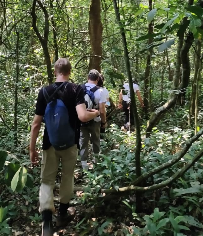 UmarellaS's tweet photo. Join us and trek through the lush forests to encounter our closest living relatives (chimps) in their natural habitat. Witness their intelligence, agility, and playful nature. 
 Contact us at +256703027732 or info@umarellavoyagesafaris.com to book your spot! 📲 https://t.co/Ckd3sPZ331