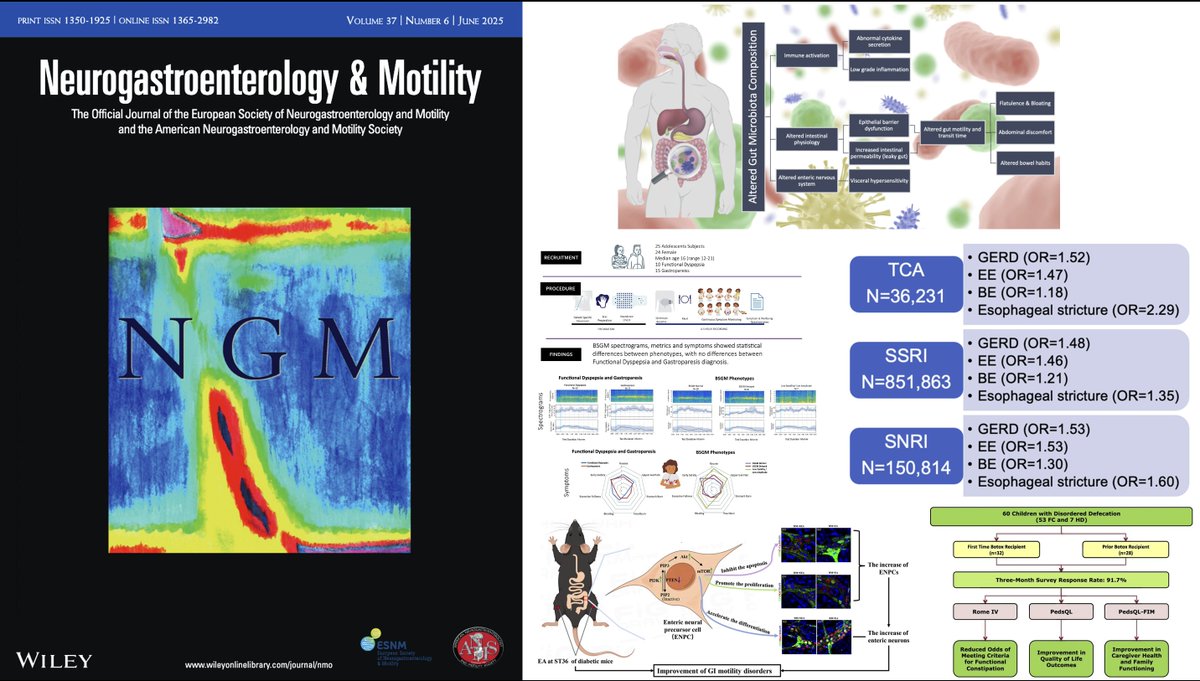 Neurogastro & Motil (@ngmjournal) on Twitter photo 🚨Editor’s Choice <a href="/NGMJournal/">Neurogastro & Motil</a> June 2025‼️
▶️#FeaturedArticles of month🔥
✅Dive deep into⏬
<a href="/maura_corsetti/">maura corsetti</a> <a href="/IBS_Maastricht/">Daniel Keszthelyi MD PhD RFF</a> #FrankZerbib #KirsteenBrowning <a href="/DrCJBlack/">Chris Black</a> <a href="/AndreaShin_GI/">Andrea Shin</a> <a href="/mpj61/">Michael Jones</a> <a href="/nicolascenac/">nicolasc</a> <a href="/ThisIsButt/">Mohsin Butt</a> <a href="/Pierfra_Visaggi/">Pierfrancesco Visaggi, MD</a> #KristinElfers #WilmarieMorales <a href="/Rajan___Singh/">Rajan Singh</a>👏 🚨Editor’s Choice <a href="/NGMJournal/">Neurogastro & Motil</a> June 2025‼️
▶️#FeaturedArticles of month🔥
✅Dive deep into⏬
<a href="/maura_corsetti/">maura corsetti</a> <a href="/IBS_Maastricht/">Daniel Keszthelyi MD PhD RFF</a> #FrankZerbib #KirsteenBrowning <a href="/DrCJBlack/">Chris Black</a> <a href="/AndreaShin_GI/">Andrea Shin</a> <a href="/mpj61/">Michael Jones</a> <a href="/nicolascenac/">nicolasc</a> <a href="/ThisIsButt/">Mohsin Butt</a> <a href="/Pierfra_Visaggi/">Pierfrancesco Visaggi, MD</a> #KristinElfers #WilmarieMorales <a href="/Rajan___Singh/">Rajan Singh</a>👏