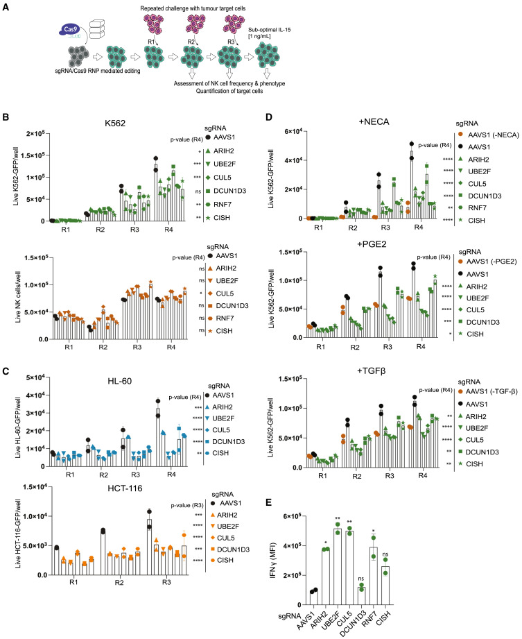 Cancer Cell (@cancer_cell) on Twitter photo Online Now: Enhancing anti-tumor immunity of natural killer cells through targeting IL-15R signaling dlvr.it/TLPdNz Online Now: Enhancing anti-tumor immunity of natural killer cells through targeting IL-15R signaling dlvr.it/TLPdNz