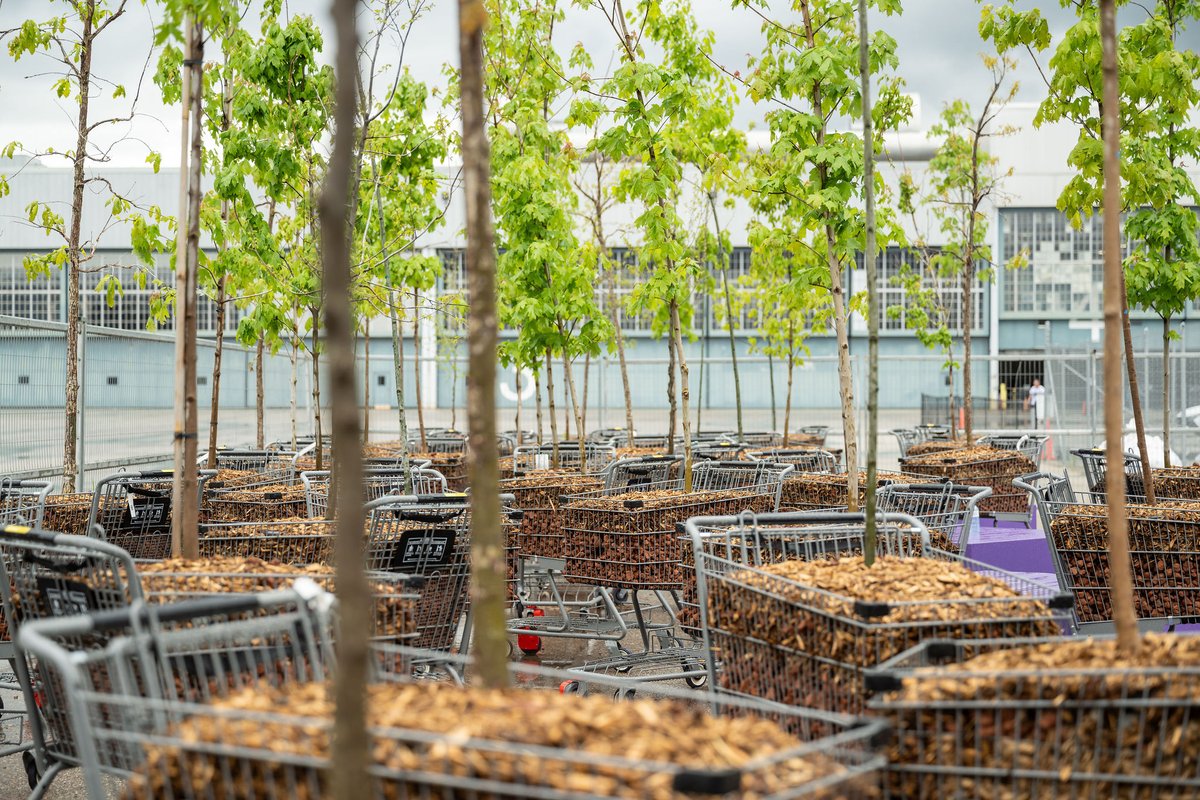🌳We’re proud to be the official Sun Safety Partner of Sun/Shade—<a href="/thebentway/">The Bentway</a>’s 2025 season on the urgency of sun safety. Don’t miss @nl_architects’ Moving Forest—50 trees in shopping carts—on view June 17–July 4 at The Bentway Studio Terrace. #melanoma #skincancer