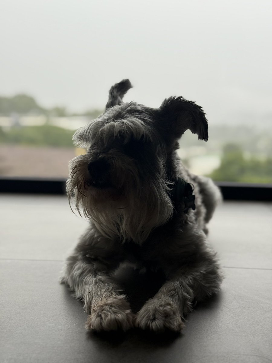 🔝 🏡 🐾 ❤️