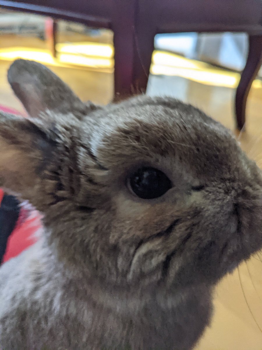 he don't know anythin