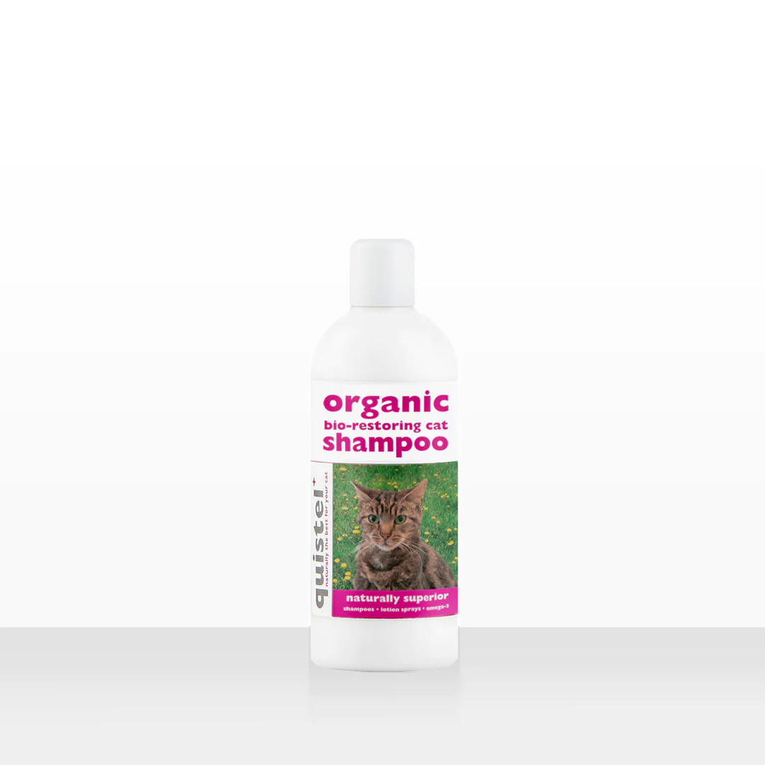 QuistelPets's tweet photo. Natural, Organic &amp; Bio-Restoring Grooming Therapies for your Cats &amp; Kittens including... our popular 'feline friendly' shampoo https://t.co/wxcDFbAfWq https://t.co/ZRWaQ2ddAd