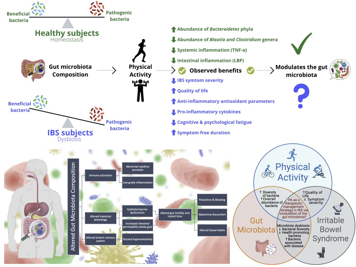 Neurogastro & Motil (@ngmjournal) on Twitter photo <a href="/maura_corsetti/">maura corsetti</a> <a href="/IBS_Maastricht/">Daniel Keszthelyi MD PhD RFF</a> <a href="/DrCJBlack/">Chris Black</a> <a href="/AndreaShin_GI/">Andrea Shin</a> <a href="/mpj61/">Michael Jones</a> <a href="/nicolascenac/">nicolasc</a> <a href="/ThisIsButt/">Mohsin Butt</a> <a href="/Pierfra_Visaggi/">Pierfrancesco Visaggi, MD</a> <a href="/Rajan___Singh/">Rajan Singh</a> <a href="/ANMSociety/">ANMS</a> <a href="/esnm_eu/">ESNM.eu</a> <a href="/SSrinivasanMD/">Shanthi Srinivasan, MD</a> <a href="/karagm2009/">kara gross margolis</a> <a href="/LindaNguyenMD/">Linda Ánh Vân Nguyễn MD</a> <a href="/BMoshiree/">Baha Moshiree MD, MSci, FACG, AGAF</a> <a href="/LinChangMD/">Lin Chang</a> <a href="/KashyapPurna/">Purna Kashyap M.B.B.S., AGAF</a> <a href="/BeyderLab/">BeyderLab</a> <a href="/mgrover_gi/">Madhusudan (Madhu) Grover M.D., AGAF</a> 🔥A Narrative & Hypothesis Generating Review‼️
Could #Therapeutic effect of #PhysicalActivity on #IBS be mediated through changes to #GutMicrobiome🦠❓
<a href="/LindsellHannah/">Hannah</a> et al🎉
🎯Physical activity is associated with a 15%–66%⬇️in IBS symptom severity👏
👉onlinelibrary.wiley.com/doi/10.1111/nm… <a href="/maura_corsetti/">maura corsetti</a> <a href="/IBS_Maastricht/">Daniel Keszthelyi MD PhD RFF</a> <a href="/DrCJBlack/">Chris Black</a> <a href="/AndreaShin_GI/">Andrea Shin</a> <a href="/mpj61/">Michael Jones</a> <a href="/nicolascenac/">nicolasc</a> <a href="/ThisIsButt/">Mohsin Butt</a> <a href="/Pierfra_Visaggi/">Pierfrancesco Visaggi, MD</a> <a href="/Rajan___Singh/">Rajan Singh</a> <a href="/ANMSociety/">ANMS</a> <a href="/esnm_eu/">ESNM.eu</a> <a href="/SSrinivasanMD/">Shanthi Srinivasan, MD</a> <a href="/karagm2009/">kara gross margolis</a> <a href="/LindaNguyenMD/">Linda Ánh Vân Nguyễn MD</a> <a href="/BMoshiree/">Baha Moshiree MD, MSci, FACG, AGAF</a> <a href="/LinChangMD/">Lin Chang</a> <a href="/KashyapPurna/">Purna Kashyap M.B.B.S., AGAF</a> <a href="/BeyderLab/">BeyderLab</a> <a href="/mgrover_gi/">Madhusudan (Madhu) Grover M.D., AGAF</a> 🔥A Narrative & Hypothesis Generating Review‼️
Could #Therapeutic effect of #PhysicalActivity on #IBS be mediated through changes to #GutMicrobiome🦠❓
<a href="/LindsellHannah/">Hannah</a> et al🎉
🎯Physical activity is associated with a 15%–66%⬇️in IBS symptom severity👏
👉onlinelibrary.wiley.com/doi/10.1111/nm…