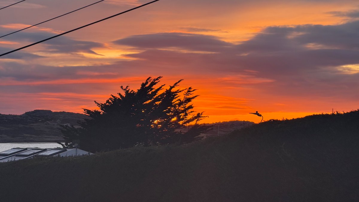 Ronnie MB 🇫🇰 (Ronnie MacLennan Baird) tweet media