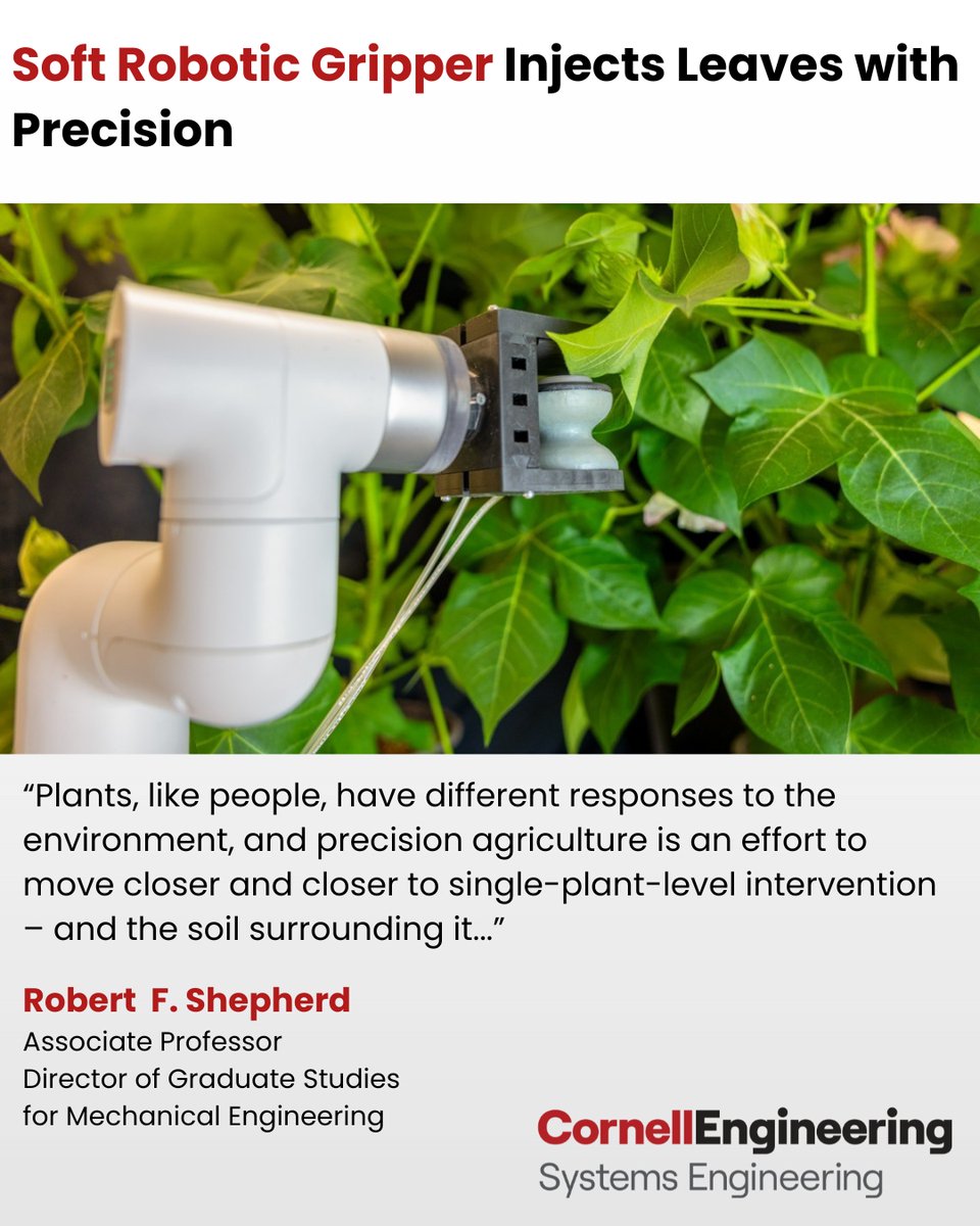 CornellSystems's tweet image. πΏπ€ Big strides in precision agriculture! Cornell researchers have developed a soft robotic gripper that gently injects living plant leaves with sensors and genetic material β paving the way for smarter, more sustainable farming. π±
π Learn more here: tinyurl.com/ydan2zj3