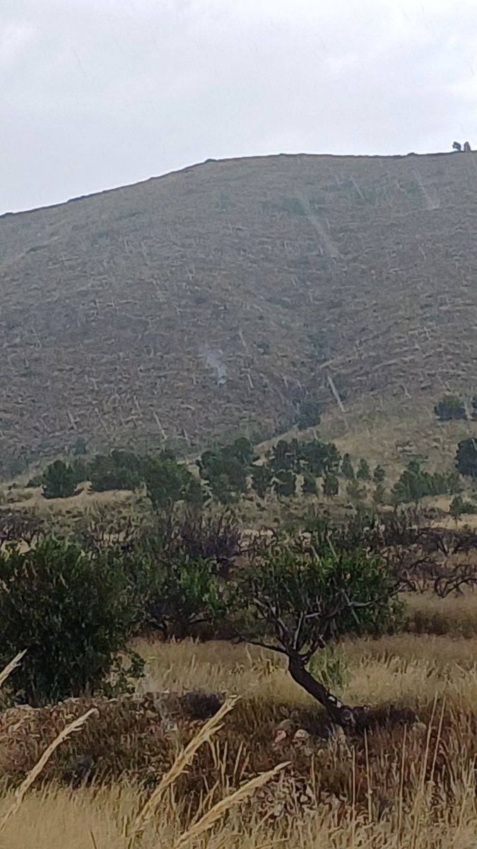 112 Región de Murcia (@112rmurcia) on Twitter photo Movilizados efectivos del #PlanInfomur para sofocar conato de incendio forestal en la Solana de la Umbría, #Lorca
▶️noticias.112rmurcia.es/?p=10833
Fotografía panorámica de la ubicación del conato de incendio forestal, facilitada por <a href="/aamm_murcia/">AM Región de Murcia</a> Movilizados efectivos del #PlanInfomur para sofocar conato de incendio forestal en la Solana de la Umbría, #Lorca
▶️noticias.112rmurcia.es/?p=10833
Fotografía panorámica de la ubicación del conato de incendio forestal, facilitada por <a href="/aamm_murcia/">AM Región de Murcia</a>