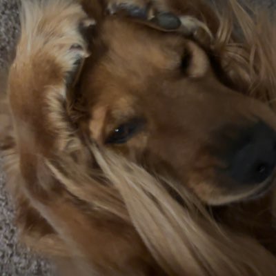 kikerman tweet media