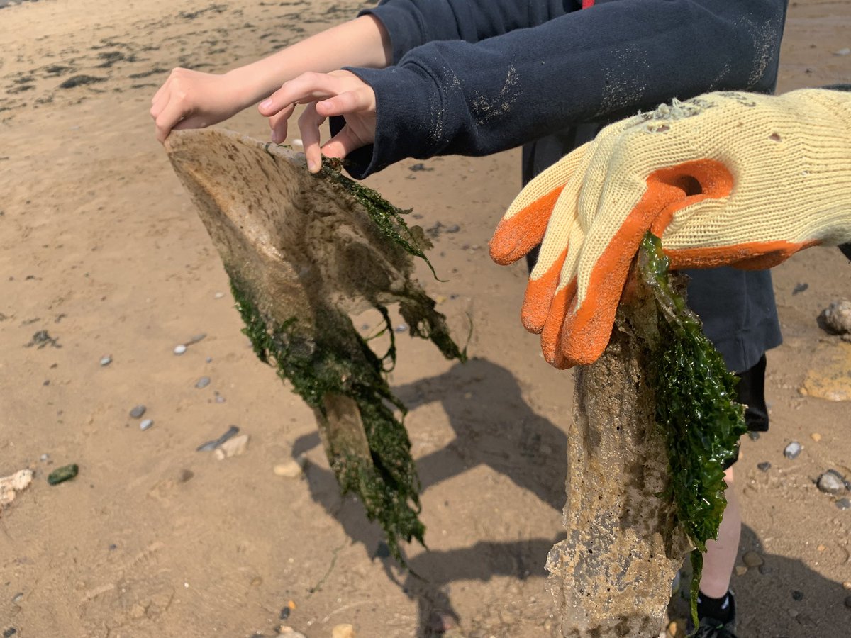BSBCIO's tweet image. Beach cleaning up with the amazing children @CCPS_NShields for our @StrongerShores project. 6 bin bags full of plastic waste - a shocking amount when the beach seemed fairly clean at first. Well done to everyone involved; something so simple can make a huge difference. 👏👏