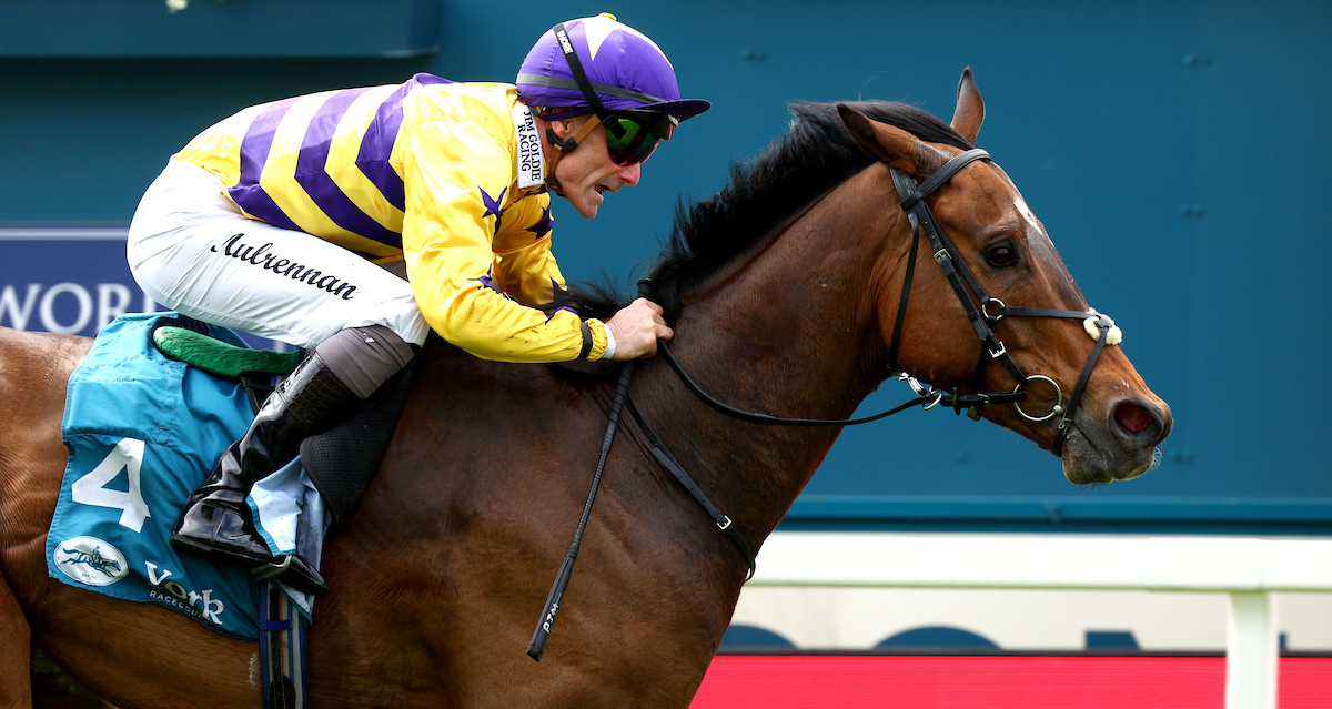 The rise &amp; rise of American Affair 👏