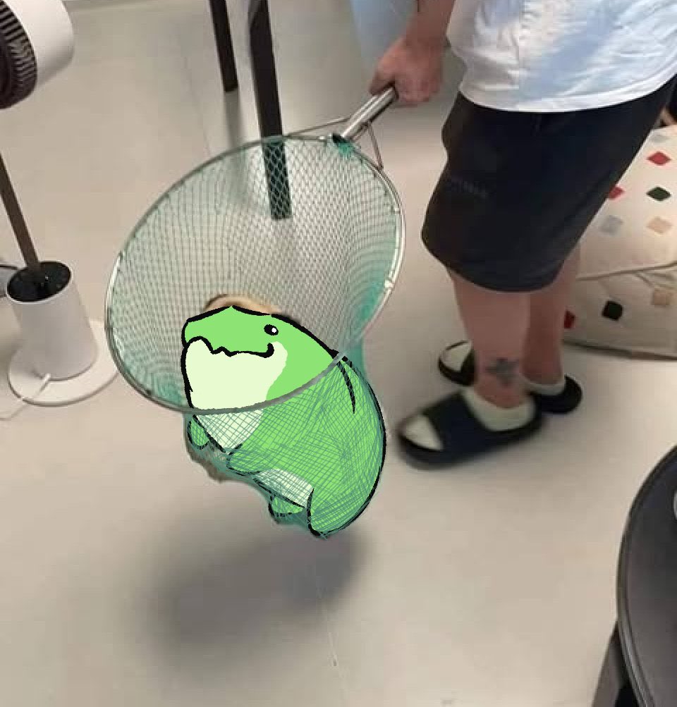 Happy Crocodile Day! 🐊

Smooch your local crocodile