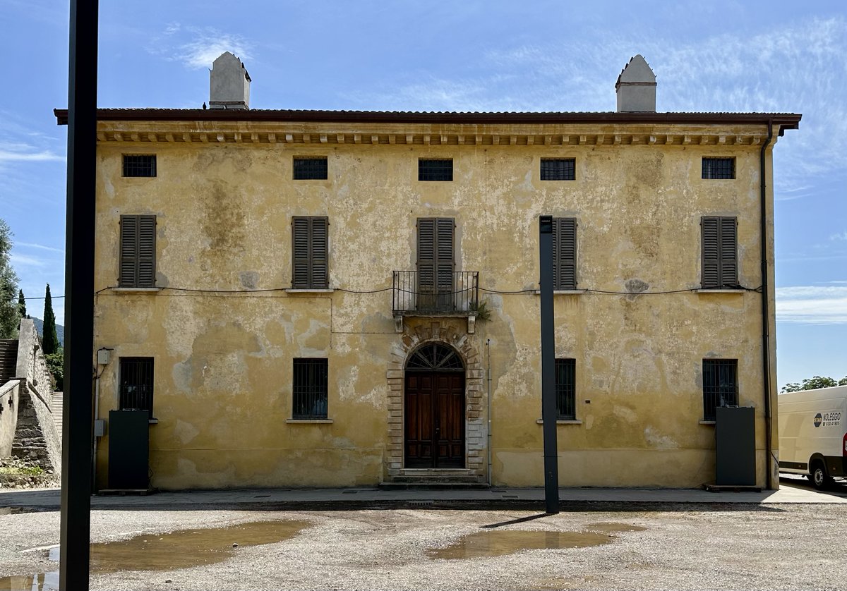 Stephan Haller tweet media