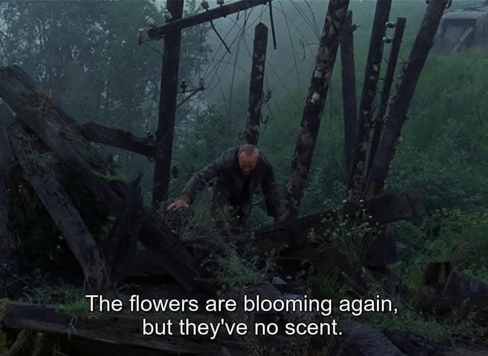 Stalker (1979) 
Director: Andrei Tarkovsky