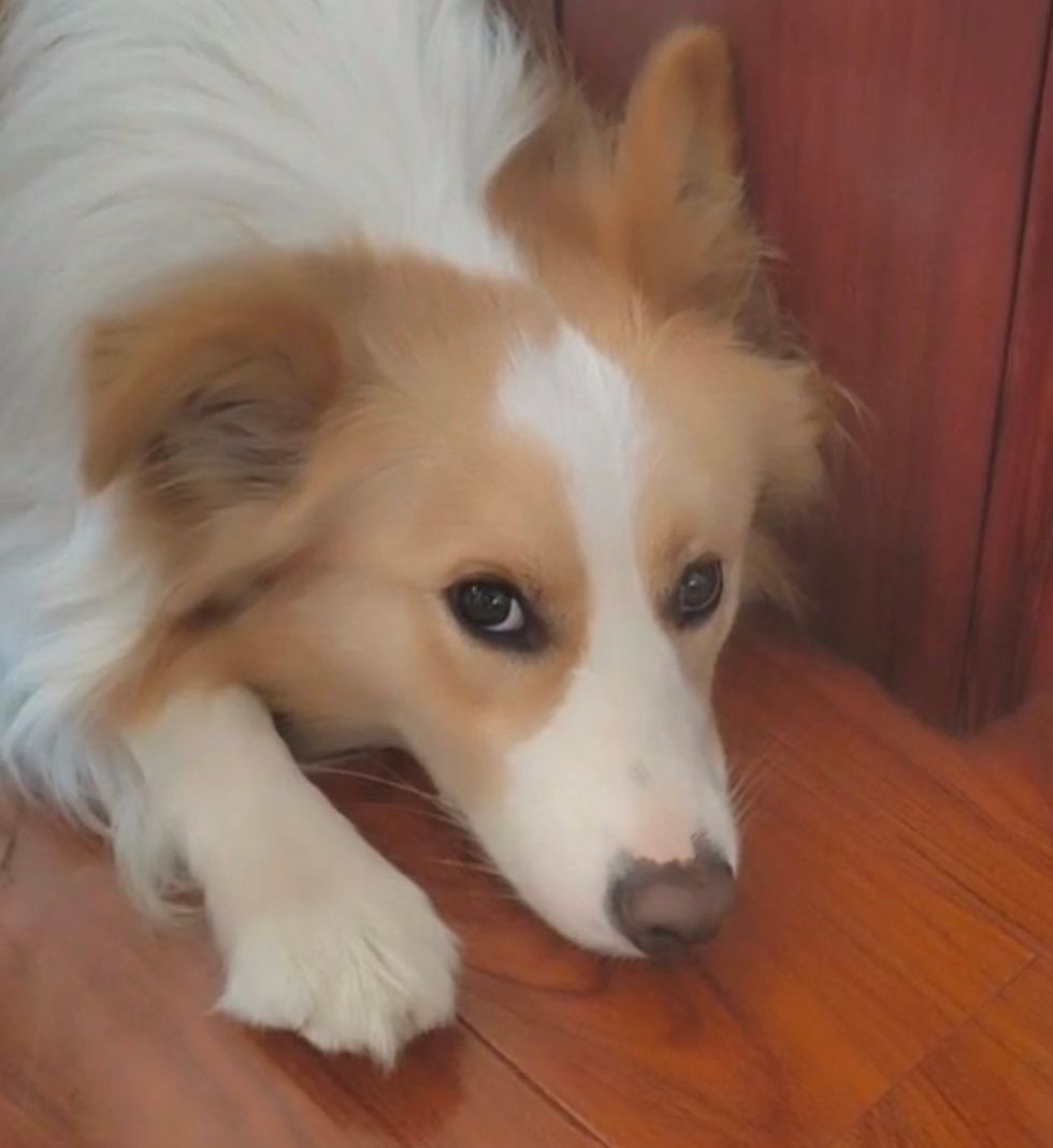 水水獭侠 (@cbqyj) on Twitter photo 