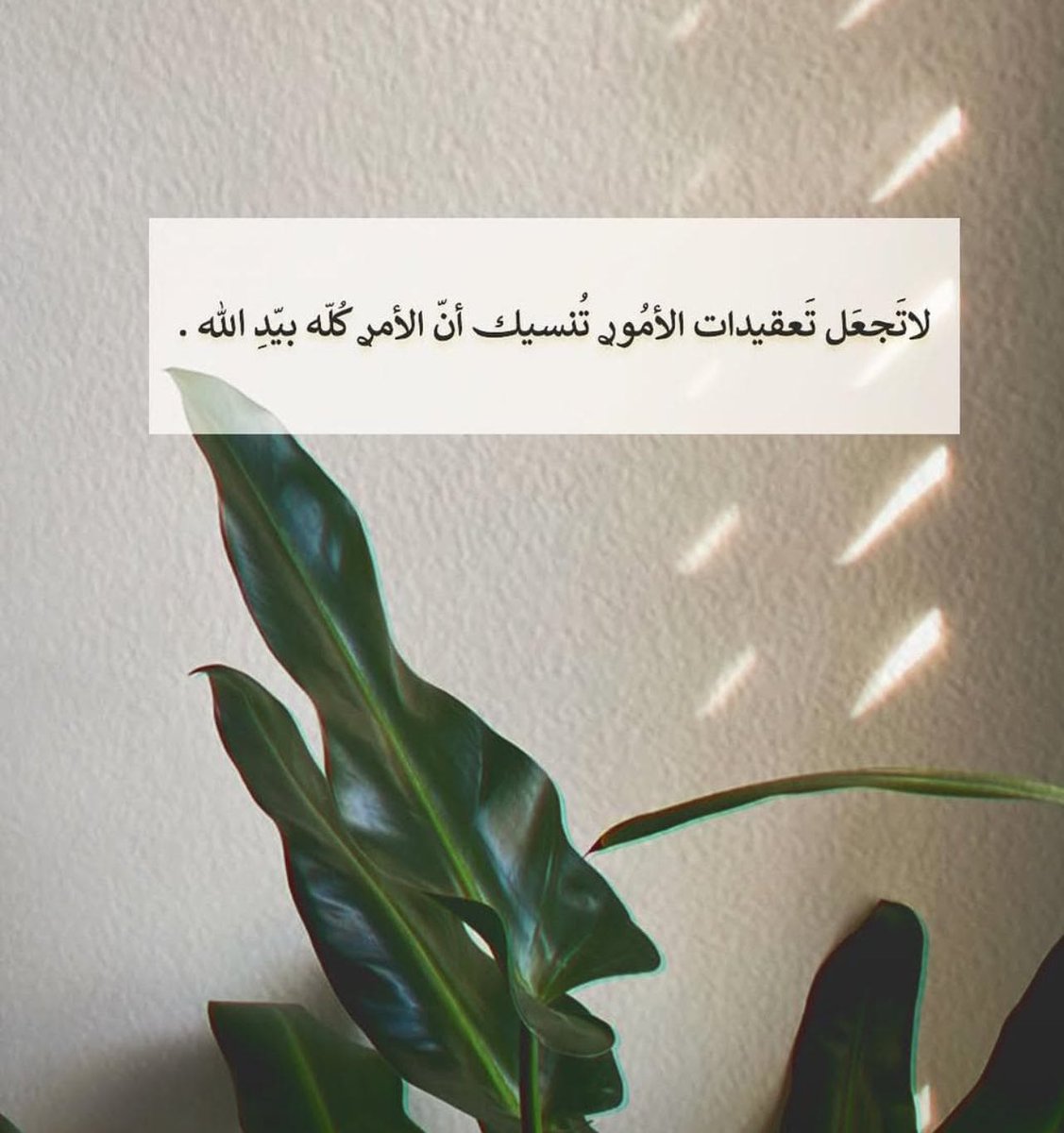 🌸 𝒲𝒶𝓇𝒹 🌸 (@ward25122) on Twitter photo 