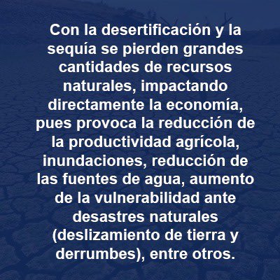 Este año, el Día de lucha contra la Desertificación y la Sequía tiene como lema “Restaurar la tierra. Liberar las oportunidades”, de acuerdo a informaciones de las Naciones Unidas. Y es que en la actualidad aproximadamente el 40% de la superficie terrestre está degradada.