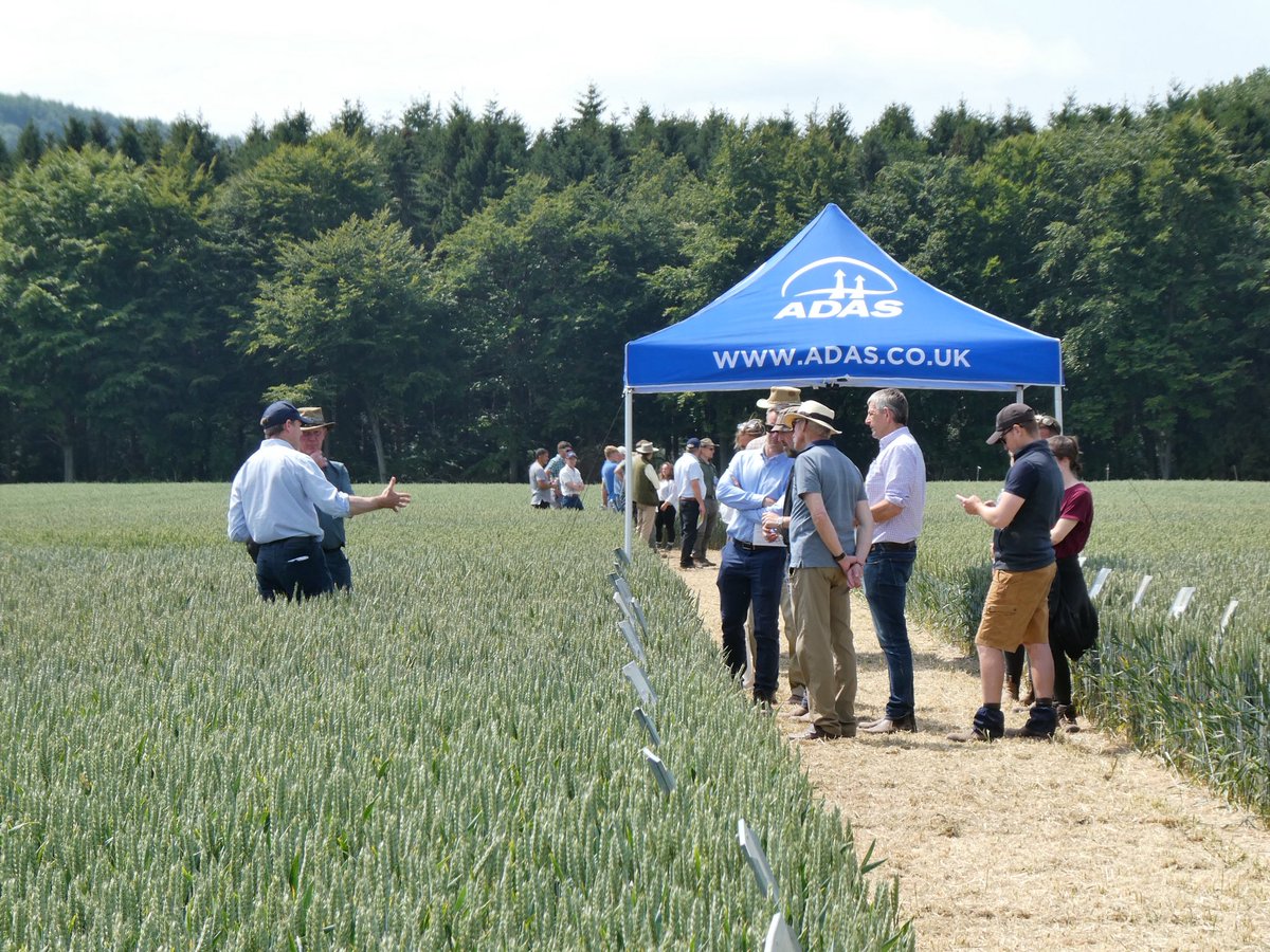 ChloeMo95's tweet image. What a day! Thank you to everyone who joined us today at the @ADASGroup open day with @AHDB_Cereals, kindly hosted by Garnstone Farms.