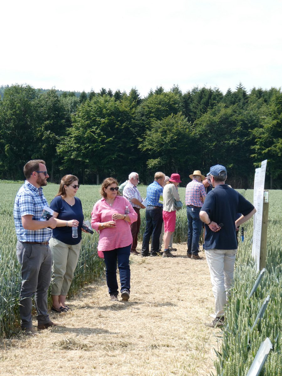 ChloeMo95's tweet image. What a day! Thank you to everyone who joined us today at the @ADASGroup open day with @AHDB_Cereals, kindly hosted by Garnstone Farms.