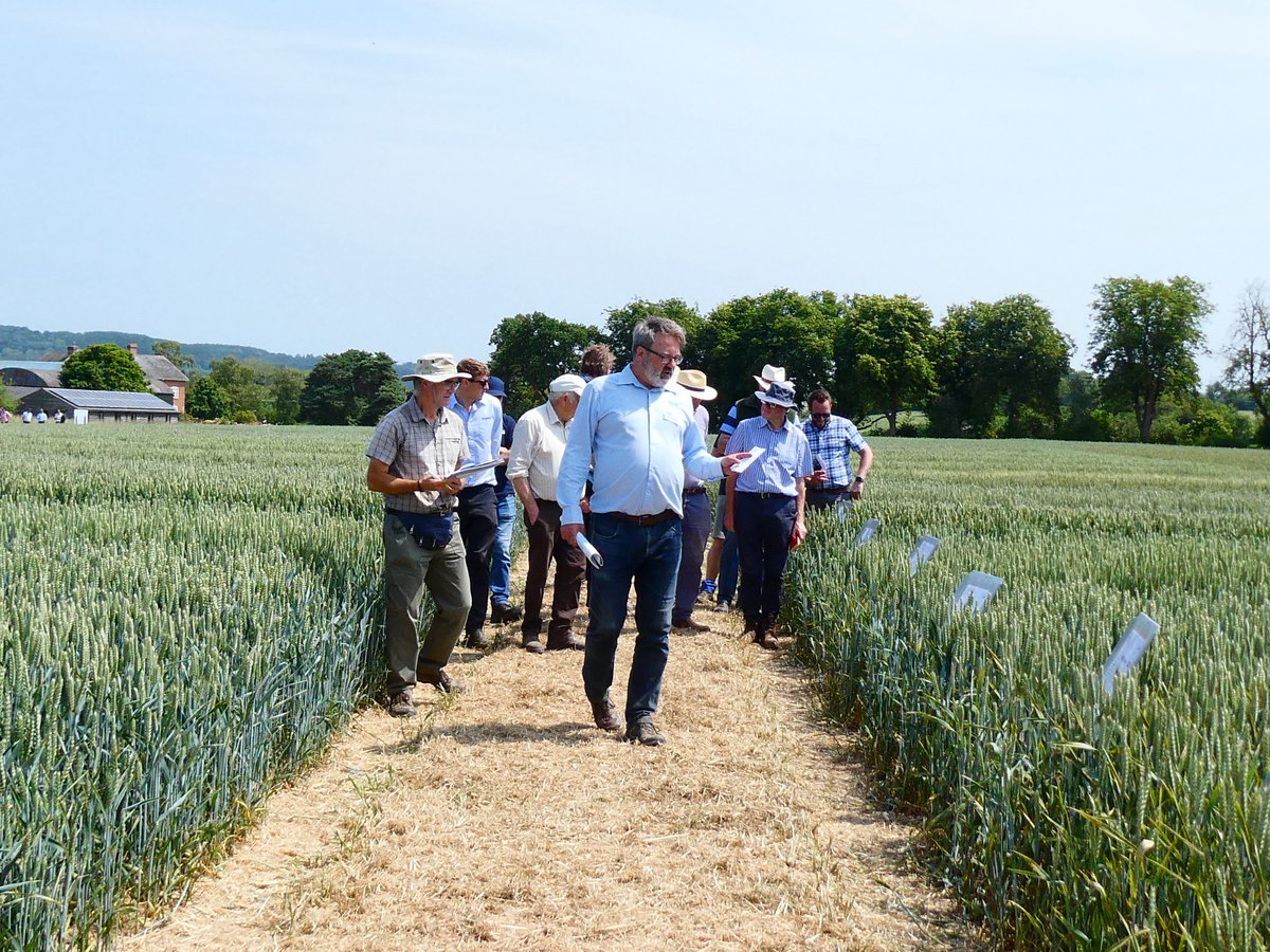 ChloeMo95's tweet image. What a day! Thank you to everyone who joined us today at the @ADASGroup open day with @AHDB_Cereals, kindly hosted by Garnstone Farms.
