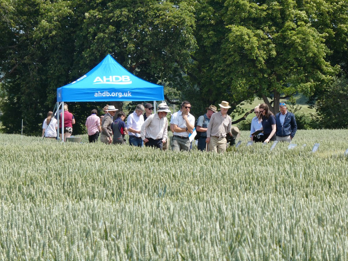 ChloeMo95's tweet image. What a day! Thank you to everyone who joined us today at the @ADASGroup open day with @AHDB_Cereals, kindly hosted by Garnstone Farms.