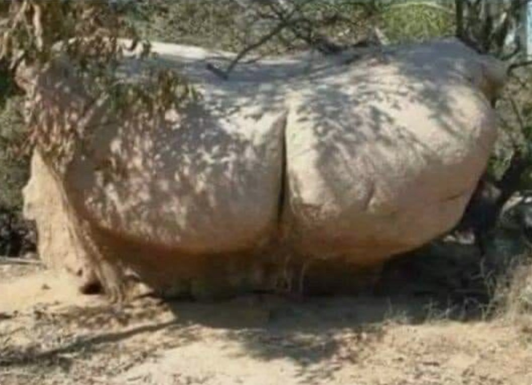 Well, it’s official, I have finally found rock bottom.