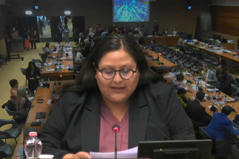 #ULTIMAHORA El Estado mexicano reprobó la primera audiencia ante el Comité CEDAW por las fallas presentadas en justicia y autonomía institucional. 
🗞📲 tinyurl.com/3767ffuw
#PeriodismoFeminista #TiempoDeMujeres #México #CEDAW #DerechosHumanos
