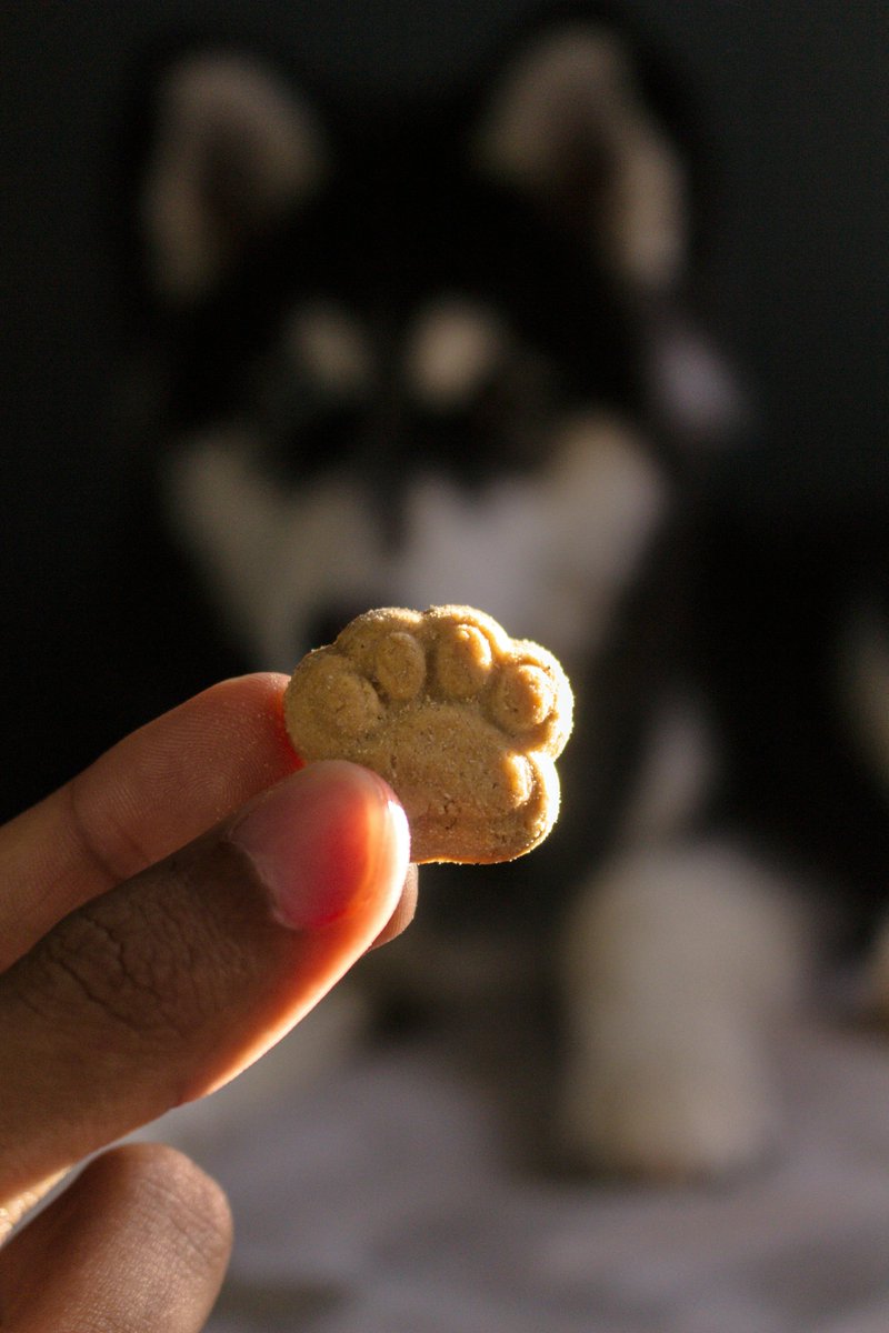 WagginTailsTnt's tweet image. Treat time isn’t just a snack—it’s a celebration of your pup! Find healthy and tasty treats your dog will love.

 waggintailstreatsnthings.com

#DogTreats #HealthyPup #SpoiledDoggo #WaggingTails #FurBabyLove #Pawfection #HappyPupLife #TreatTime #PetCareTips #DogsOfInstagram