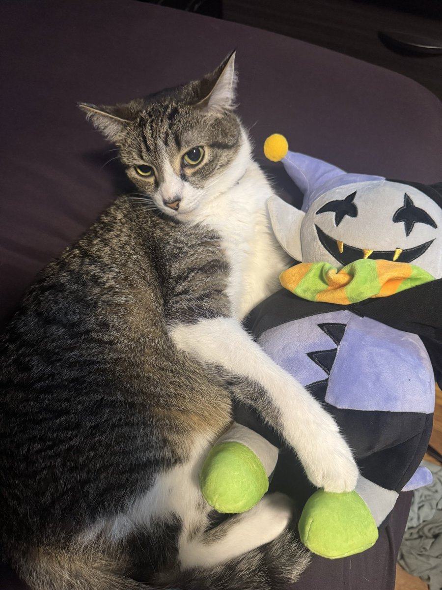 DaApolloShow's tweet image. He loves Jevon deltaural