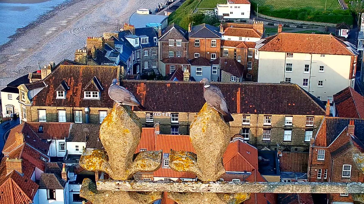 Looks like Delivercoo has arrived