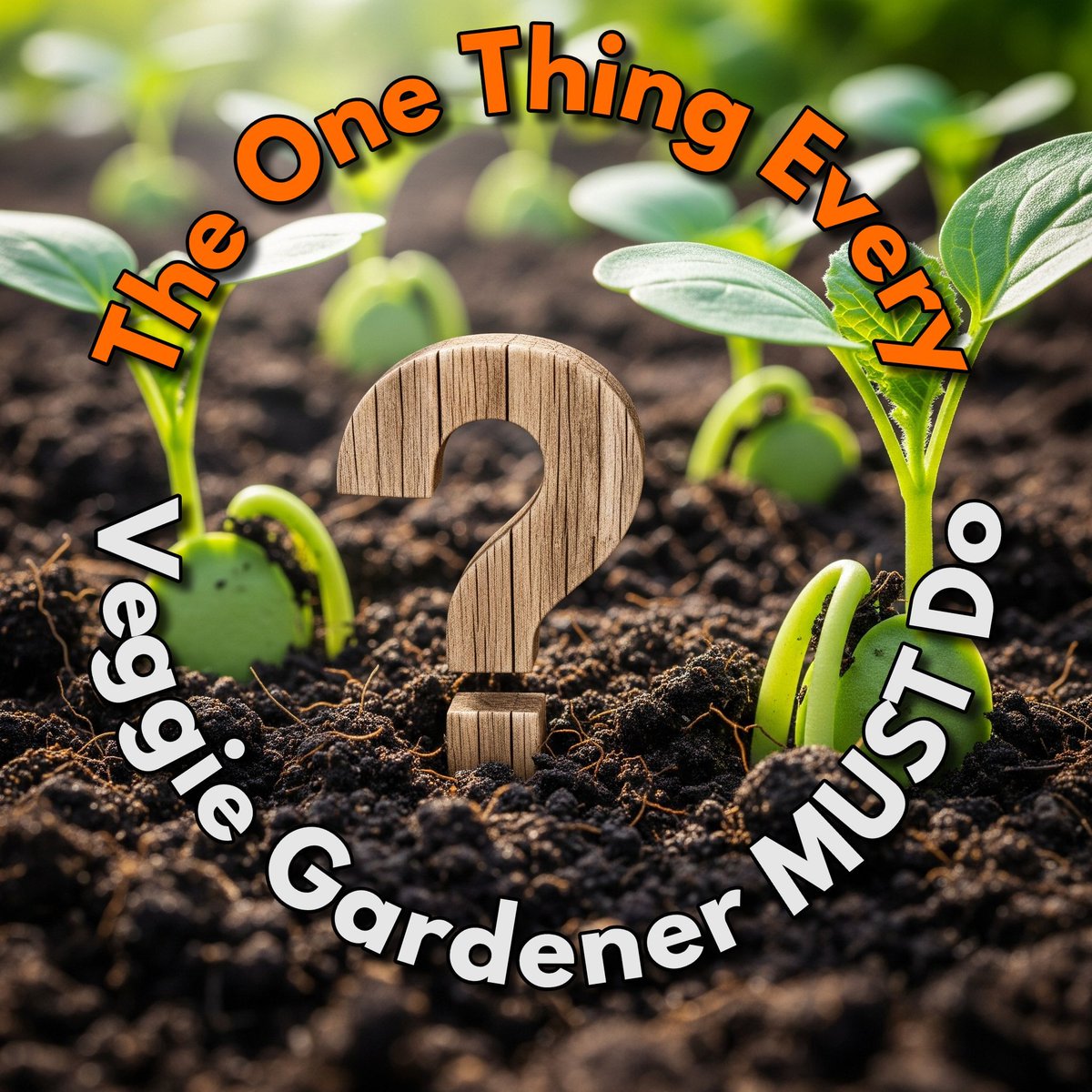 Ready to boost your veggie harvests? 🥕🥦 Our latest blog post reveals the *one crucial thing* every gardener MUST do (it's not what you think!). Dive in and transform your plot! 🌱

(vegplotter.com/blog/the-one-t…)

#GardeningTips #VegetableGarden #GardenLife