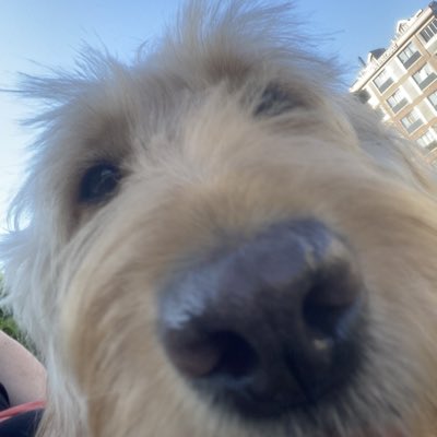 #YeniProfilResmi